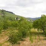 Dasensteinblick Kappelrodeck
