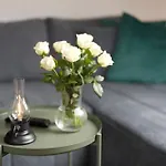 Dasensteinblick Apartment *