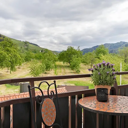 Apartamento Dasensteinblick Kappelrodeck
