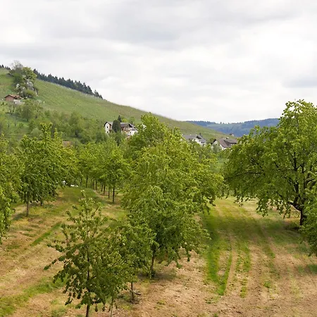 Apartamento Dasensteinblick
