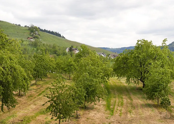 Dasensteinblick Kappelrodeck